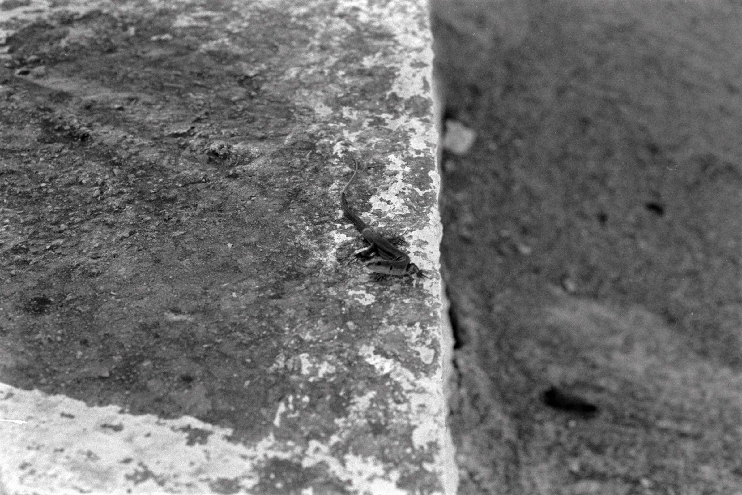 AHP F1991 09 005 sc250507 img03 NLP